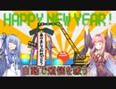 姉妹の煩悩をクレーン車で祓う【坊主がクレーン車で除夜の鐘を叩くゲーム】