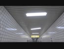 帰宅配信してたら清澄白河駅みたいな場所に出る【８番出口リアクション1分動画投稿祭】