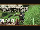 実況 ◇ The Elder Scrolls IV: オブリビオン ◇ 第341幕