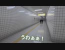 帰宅配信してたらリア凸・ツインズ現る！【８番出口リアクション1分動画投稿祭】