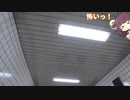 帰宅配信してたらホラーの定番のやつと遭遇する【８番出口リアクション1分動画投稿祭】