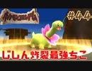 地震最強！ちこ最強！！【ポケモンコロシアム】＃４４