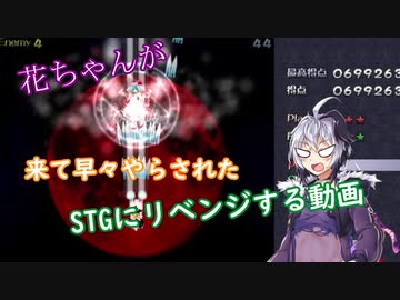花ちゃんが来て早々やらされたSTGにリベンジする動画