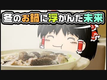 【ゆっくり自由帳】冬のお鍋に浮かんだ未来
