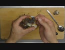 【サザエは簡単に出てくる】 茹でて 日本酒と共に【田酒 四割五分】