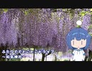 ふたりでとことこドライブ232-01　～霧島市　和気神社～