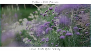 Piellius - 2023 Year Mix