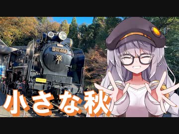 公園で紅葉狩りと旅気分！？生田緑地お散歩編【A.I.VOICE旅行】プチっとトラベル！