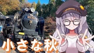 公園で紅葉狩りと旅気分！？生田緑地お散歩編【A.I.VOICE旅行】プチっとトラベル！