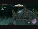 【ゼルダの伝説 ティアーズ オブ ザ キングダム】再びハイラルを救うまで【実況】 part193