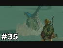 【ゆっくり実況】ゼルダの伝説BotW 4縛り#35