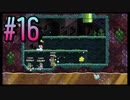 【スーパーマリオブラザーズ ワンダー】うるさいだけの4人でスーパーマリオブラザーズワンダー！#16【実況プレイ】