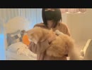【贅肉ちゃん】猫も一緒に寝ると思う寝配信【すやすや見守り隊募集】。2023年12月21日