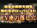 20231231_脱●素・電気自動車推進は日本を●●する口実だった！？