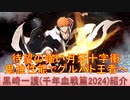 BLEACH ブレソル実況 part3084(キャラクター紹介:第477回黒崎一護(千年血戦篇2024)紹介)
