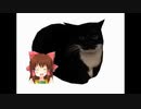 Maxwell_the_Cat神社.mp4