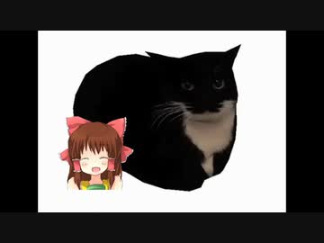 Maxwell_the_Cat神社.mp4