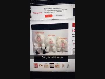 ホモと見る犬用ダッチワイフ