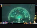 ⌘プレイアーカイブ⌘ ハイラルソード その324