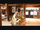 佐嘉神社で大みそか伝統の「鰤祭」　大漁満船や家内安全を祈願（2023年12月31日、佐賀市）