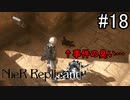 【実況】少年と白い本と呪われし妹君【ニーア レプリカント ver.1.22474487139...】part18