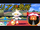 【ポケモン剣】急所 瀕死で金的縛り！part1【初見飲酒実況】