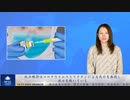 政府機関はコロナウイルスとワクチンによる死亡を無視し、我々を欺いている