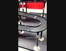 ホモと見るタマ転がしレース