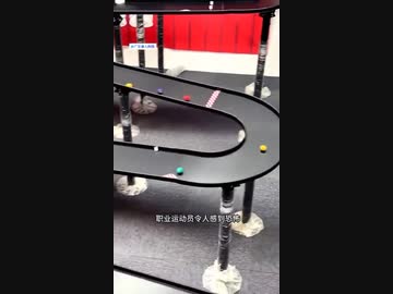 ホモと見るタマ転がしレース