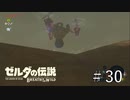 なんだこいつ～ッ！！！【ゼルダの伝説ブレスオブザワイルド】#30　