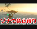 ゾナウ禁止縛りpart10【ティアキン/制限プレイ/ゼルダの伝説ティアーズオブザキングダム】