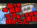 逆転だらけ！実は考えることの多いフデの立ち回りでショートするチルノ。バラエティ豊かにスプラトゥーン！！#5