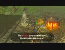 ゼルダの伝説　ブレス オブ ザ ワイルド　実況プレイPart145
