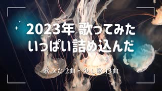 2023年歌ってみたダイジェスト【瑠乃*。】