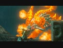 初ゼルダに挑戦！！ゼルダの伝説ブレスオブザワイルド実況part13