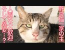 野良猫一家の主、人間を大歓迎するも…？