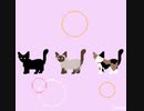 【The cats】 短い動画作ってみた