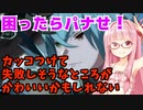 【GBVSR】フリープレイで楽しむアカネちゃん 第10話「キャラのことは知りませんが」【VOICEROID実況】