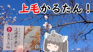 【上毛かるた：さ】きりたんの上毛かるたん！～三波石とともに名高い冬桜～【東北きりたん】