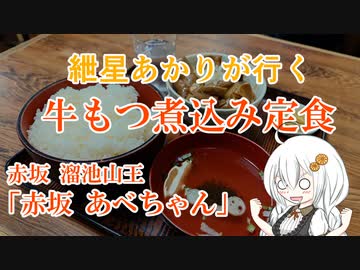 紲星あかりが行く！「牛もつ煮込み定食」赤坂 あべちゃん　＠赤坂