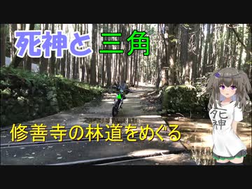 死神と三角　修善寺の林道をめぐる