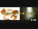 【限界障害者の歌声part.6】creepynuts/スポットライト　歌ってみた