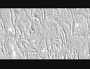 Plant Fossil Noise.ffx