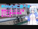 爽快！浜辺スレスレひびき灘自転車道　走らんね！【Whitecul】