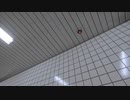 帰宅配信してたら赤外線で狙われた【８番出口リアクション1分動画投稿祭】