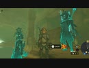 【ティアキンだけは】part.96【実況させて】
