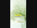 【 フリーBGM 】 One Step ／ mame pota【 作業用・勉強用BGM／映像・動画／配信 】 #フリーBGM #freebgm