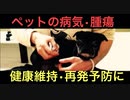【ペットの腫瘍】手術後の再発予防に私が行っていること