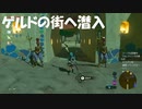 #73【ゼルダの伝説 ブレス オブ ザ ワイルド】寄り道してからゲルドの街へ潜入するぞ！