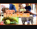 笑顔を引き出せ！仙台/八木山動物公園！